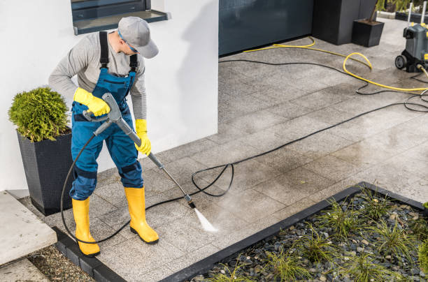 Best Best Pressure Washing Companies  in Birch Run, MI