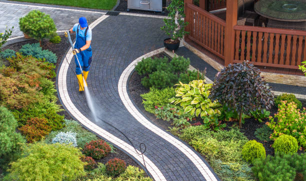 Best Local Pressure Washing Services  in Birch Run, MI